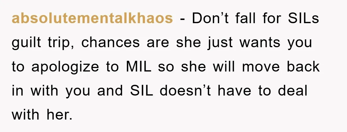 absolutementalkhaos - Don’t fall for SILs guilt trip, chances are she just wants you to apologize to MIL so she will move back in with you and SIL doesn’t have...