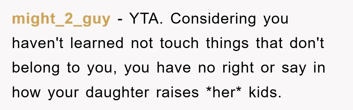 might_2_guy − YTA. Considering you haven't learned not touch things that don't belong to you, you have no right or say in how your daughter raises *her* kids.