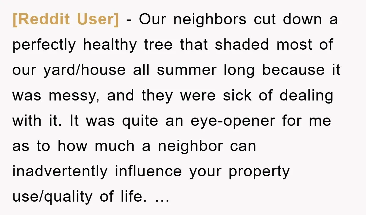 [Reddit User] - Our neighbors cut down a perfectly healthy tree that shaded most of our yard/house all summer long because it was messy, and they were sick of dealing...