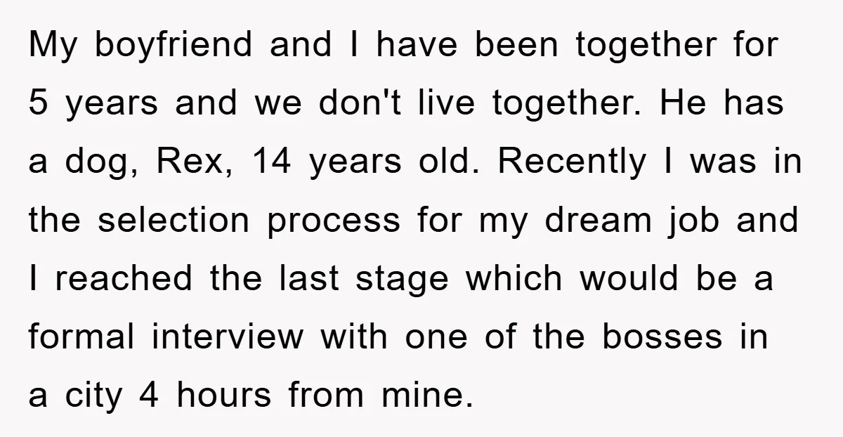 My boyfriend and I have been together for 5 years and we don't live together. He has a dog, Rex, 14 years old. Recently I was in the selection process...