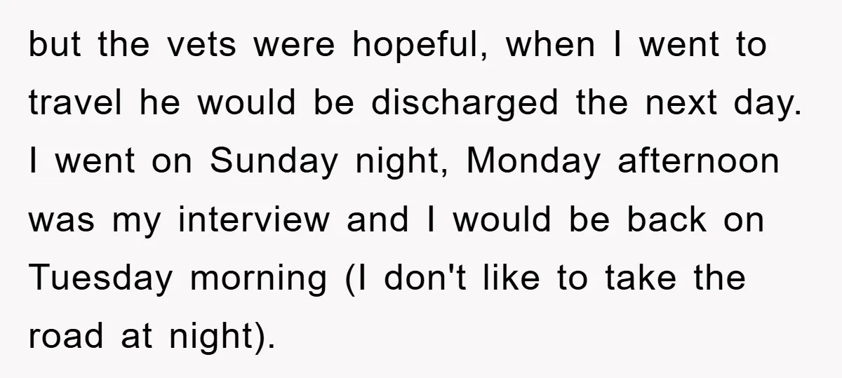 but the vets were hopeful, when I went to travel he would be discharged the next day. I went on Sunday night, Monday afternoon was my interview and I would...