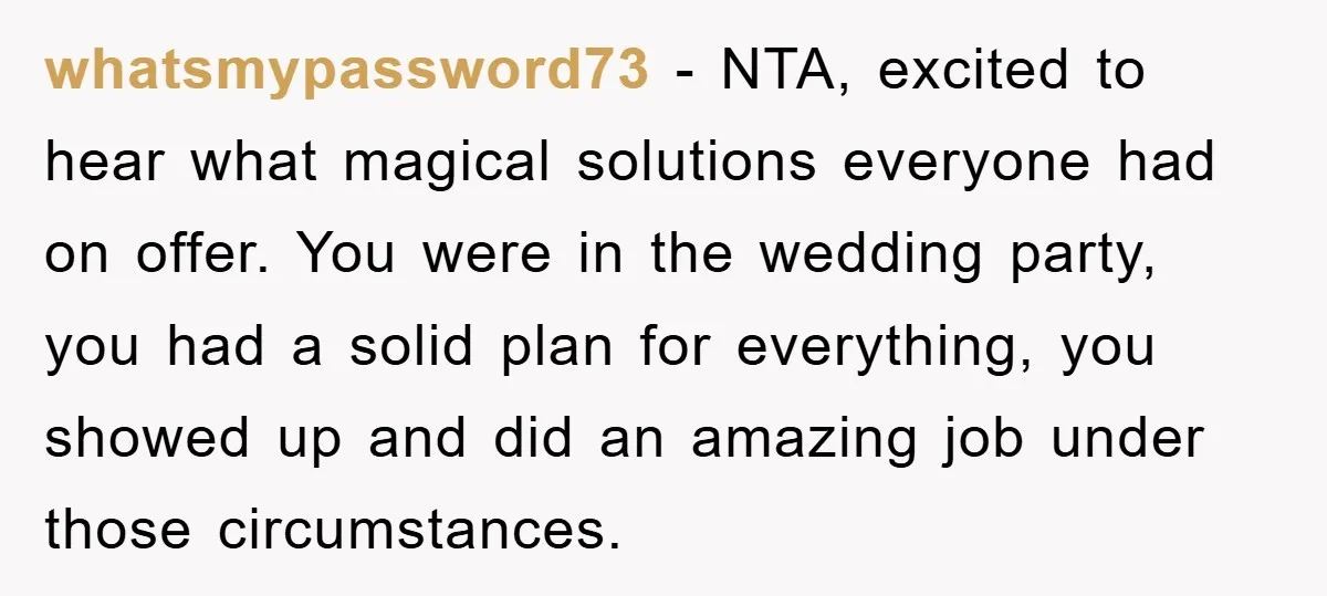whatsmypassword73 − NTA, excited to hear what magical solutions everyone had on offer. You were in the wedding party, you had a solid plan for everything, you showed up and...