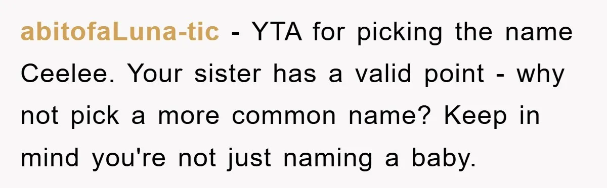 abitofaLuna-tic − YTA for picking the name Ceelee. Your sister has a valid point - why not pick a more common name? Keep in mind you're not just naming a...