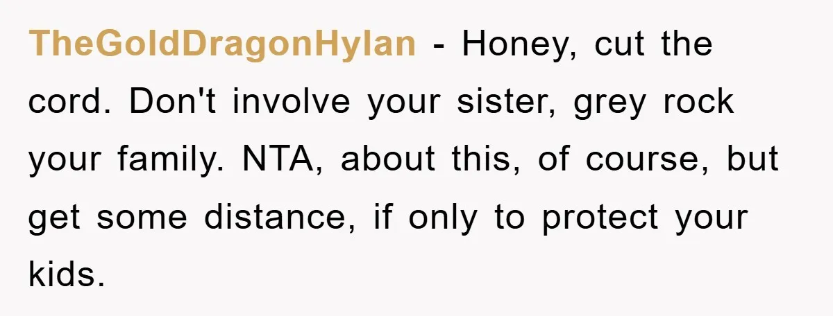 TheGoldDragonHylan − Honey, cut the cord. Don't involve your sister, grey rock your family. NTA, about this, of course, but get some distance, if only to protect your kids.
