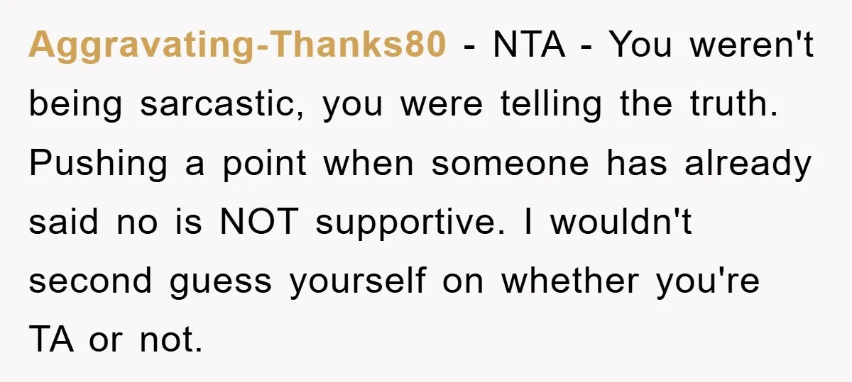 Aggravating-Thanks80 - NTA - You weren't being sarcastic, you were telling the truth. Pushing a point when someone has already said no is NOT supportive. I wouldn't second guess yourself...