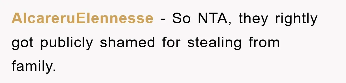 AlcareruElennesse − So NTA, they rightly got publicly shamed for stealing from family.