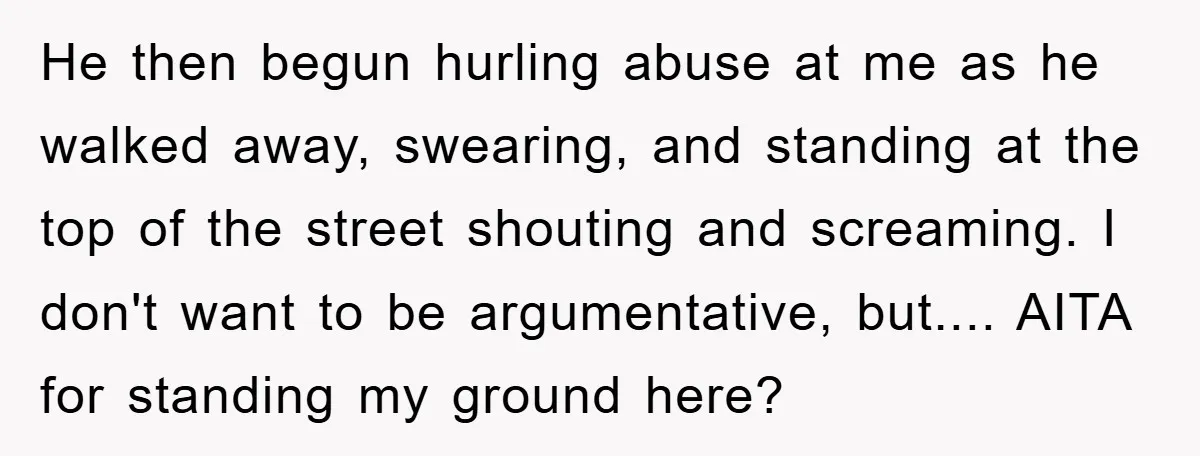 He then begun hurling abuse at me as he walked away, swearing, and standing at the top of the street shouting and screaming. I don't want to be argumentative, but.......