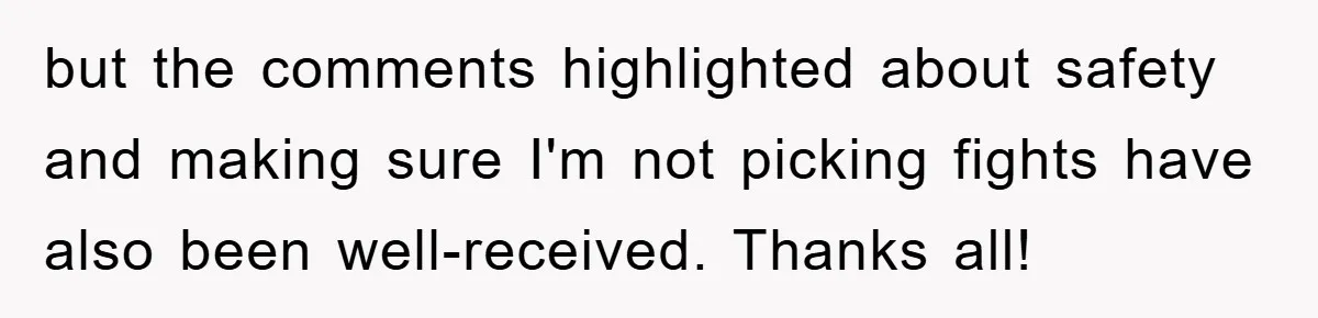 but the comments highlighted about safety and making sure I'm not picking fights have also been well-received. Thanks all!