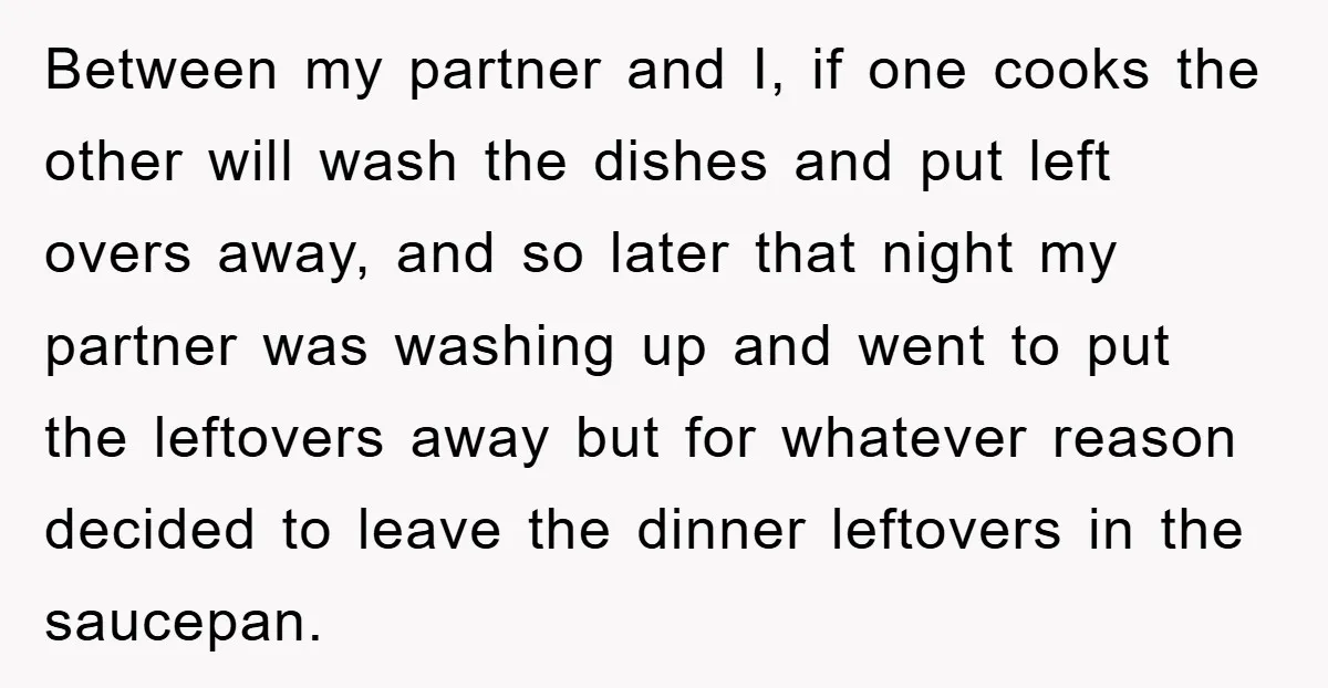 Between my partner and I, if one cooks the other will wash the dishes and put left overs away, and so later that night my partner was washing up and...
