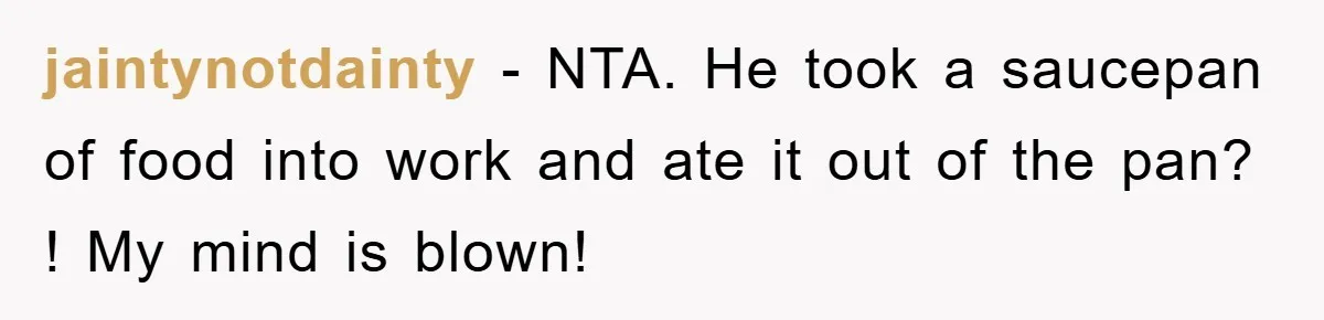 jaintynotdainty − NTA. He took a saucepan of food into work and ate it out of the pan? ! My mind is blown!