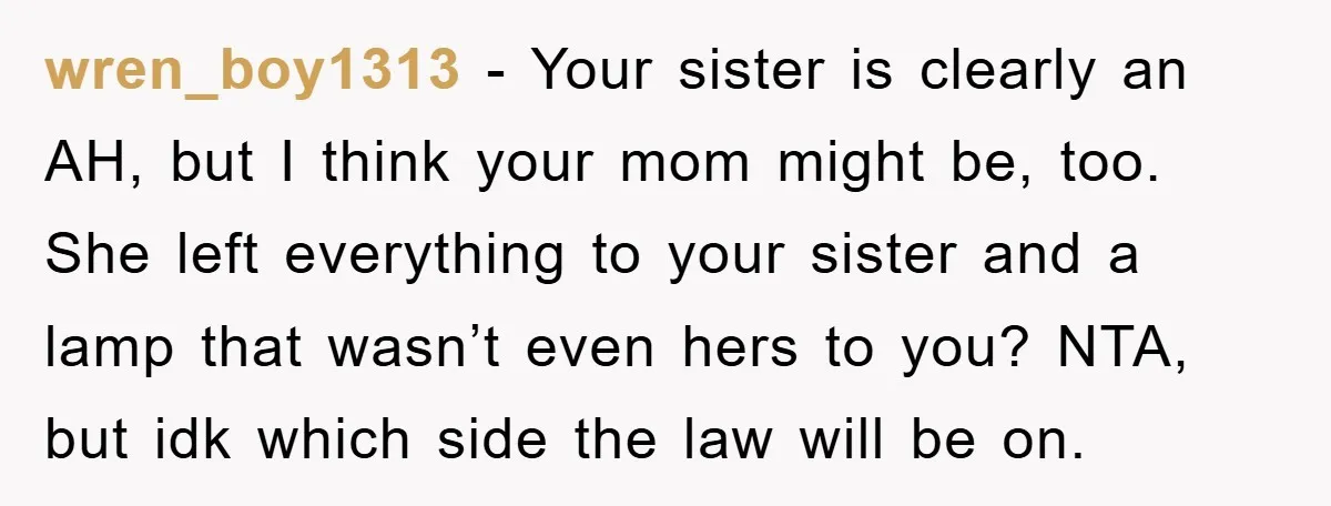 wren_boy1313 − Your sister is clearly an AH, but I think your mom might be, too. She left everything to your sister and a lamp that wasn’t even hers to...