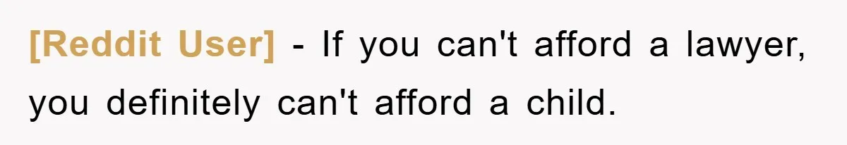 [Reddit User] − If you can't afford a lawyer, you definitely can't afford a child.