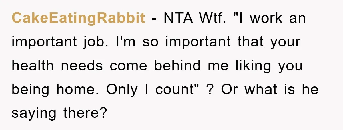 CakeEatingRabbit - NTA Wtf. "I work an important job. I'm so important that your health needs come behind me liking you being home. Only I count" ? Or what is...