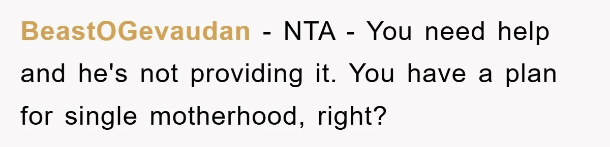 BeastOGevaudan - NTA - You need help and he's not providing it. You have a plan for single motherhood, right?