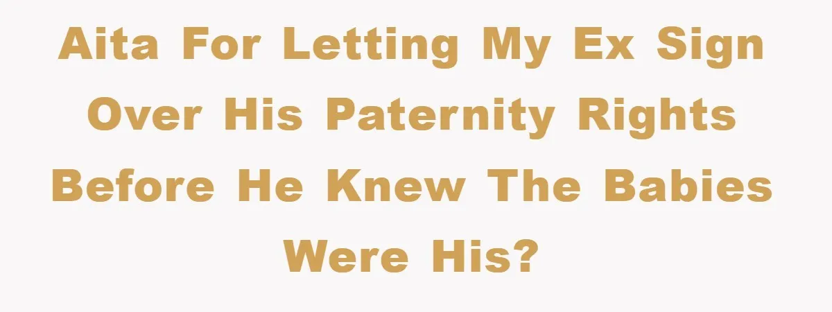 AITA for letting my ex sign over his paternity rights before he knew the babies were his?