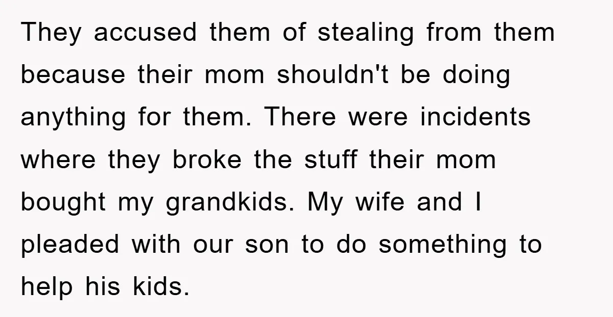 They accused them of stealing from them because their mom shouldn't be doing anything for them. There were incidents where they broke the stuff their mom bought my grandkids. My...
