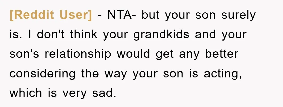[Reddit User] − NTA- but your son surely is. I don't think your grandkids and your son's relationship would get any better considering the way your son is acting, which...