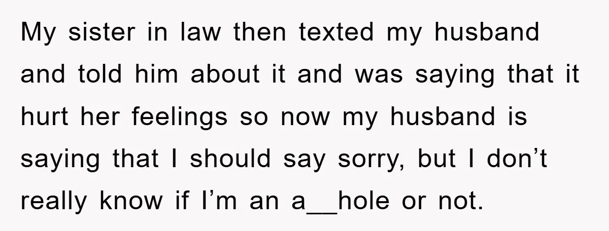 My sister in law then texted my husband and told him about it and was saying that it hurt her feelings so now my husband is saying that I should...