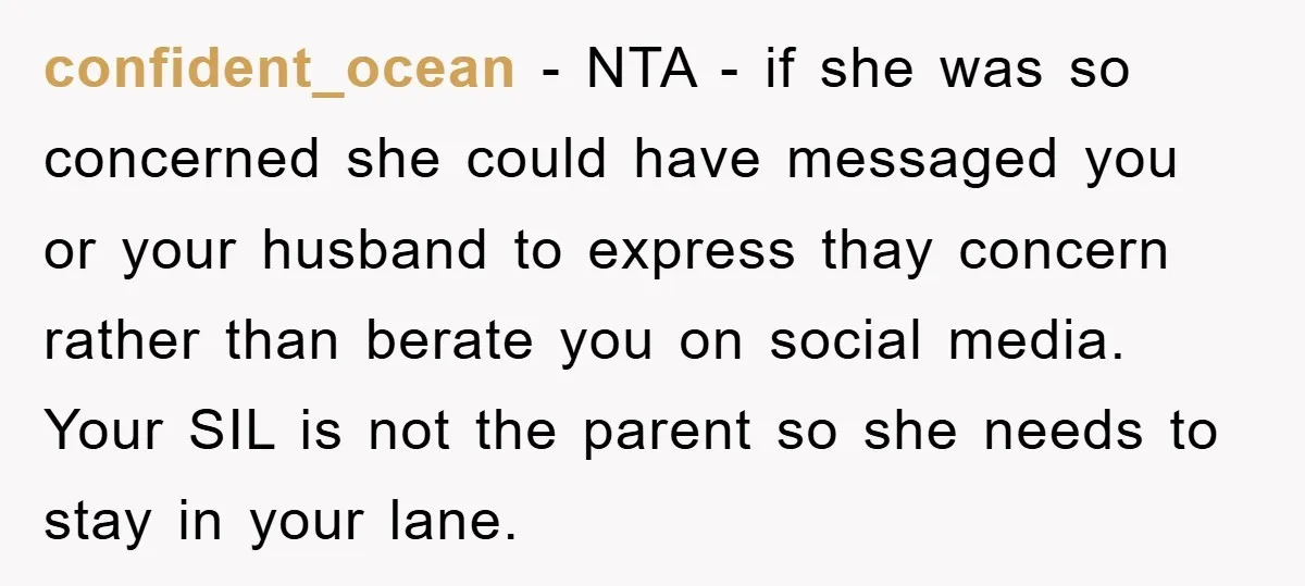 confident_ocean - NTA - if she was so concerned she could have messaged you or your husband to express thay concern rather than berate you on social media. Your SIL...