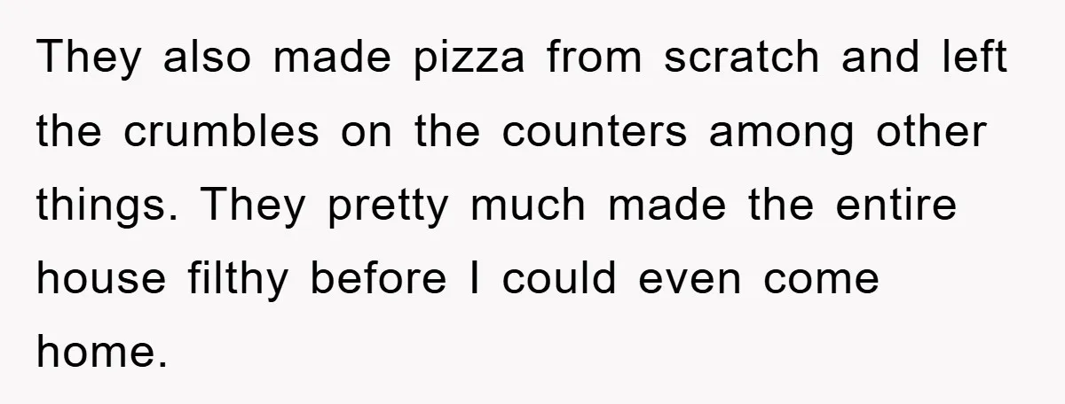 They also made pizza from scratch and left the crumbles on the counters among other things. They pretty much made the entire house filthy before I could even come home.