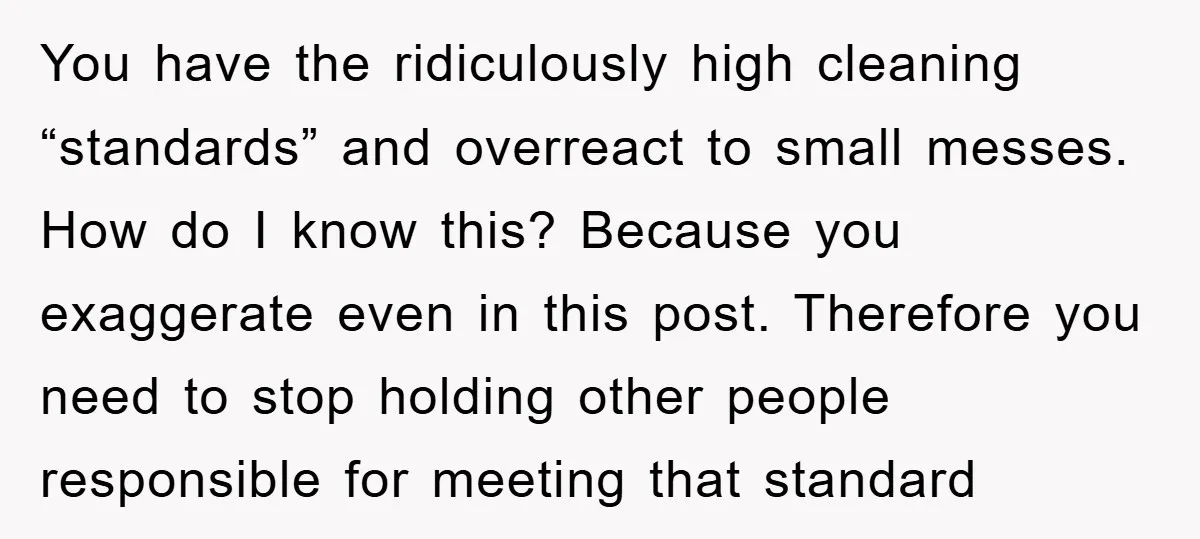 You have the ridiculously high cleaning “standards” and overreact to small messes. How do I know this? Because you exaggerate even in this post. Therefore you need to stop holding...
