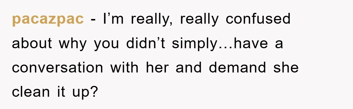 pacazpac − I’m really, really confused about why you didn’t simply…have a conversation with her and demand she clean it up?