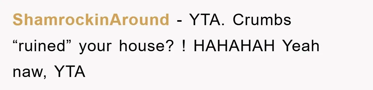 ShamrockinAround − YTA. Crumbs “ruined” your house? ! HAHAHAH Yeah naw, YTA