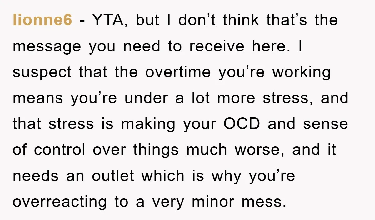 lionne6 − YTA, but I don’t think that’s the message you need to receive here. I suspect that the overtime you’re working means you’re under a lot more stress, and...