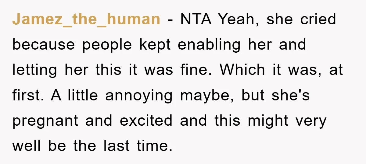 Jamez_the_human − NTA Yeah, she cried because people kept enabling her and letting her this it was fine. Which it was, at first. A little annoying maybe, but she's pregnant...