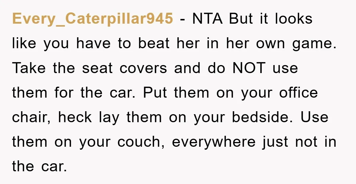 Every_Caterpillar945 − NTA But it looks like you have to beat her in her own game. Take the seat covers and do NOT use them for the car. Put them...