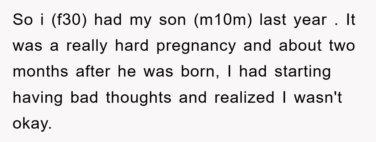 So i (f30) had my son (m10m) last year . It was a really hard pregnancy and about two months after he was born, I had starting having bad thoughts...