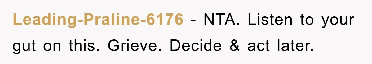Leading-Praline-6176 − NTA. Listen to your gut on this. Grieve. Decide & act later.