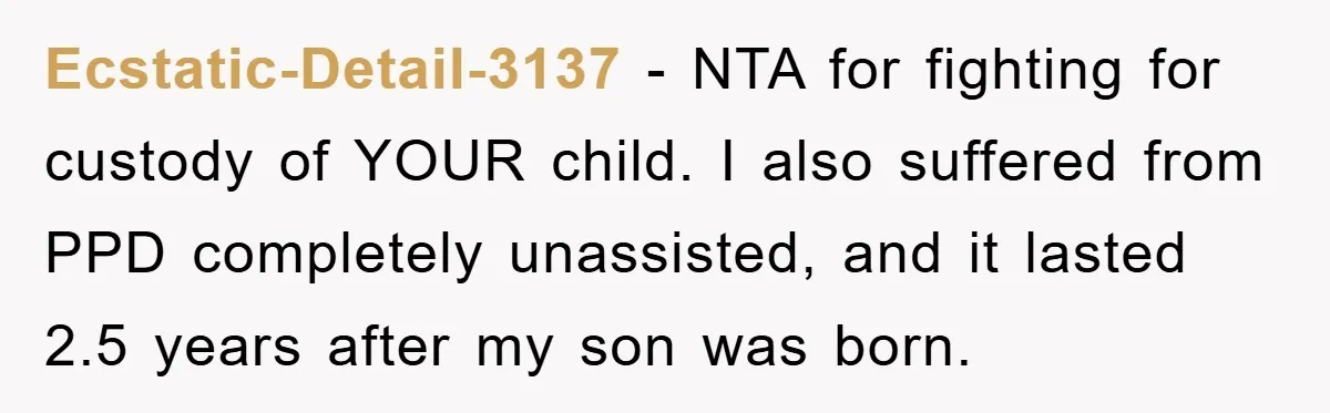 Ecstatic-Detail-3137 − NTA for fighting for custody of YOUR child. I also suffered from PPD completely unassisted, and it lasted 2.5 years after my son was born.