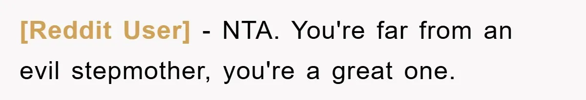 [Reddit User] − NTA. You're far from an evil stepmother, you're a great one.