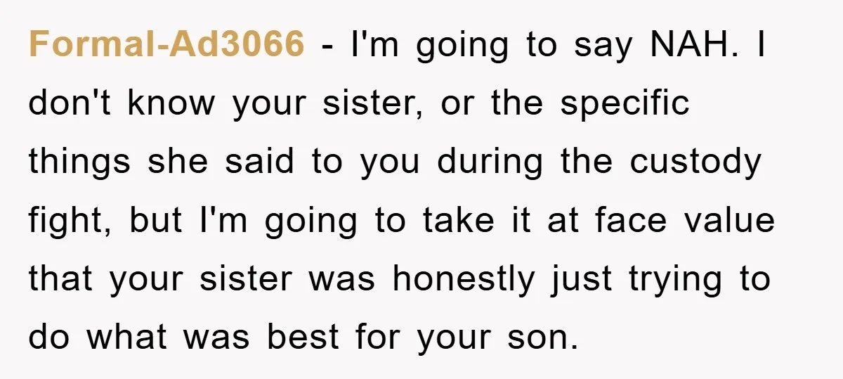 Formal-Ad3066 − I'm going to say NAH. I don't know your sister, or the specific things she said to you during the custody fight, but I'm going to take it...