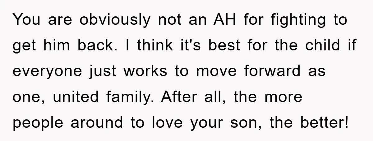 You are obviously not an AH for fighting to get him back. I think it's best for the child if everyone just works to move forward as one, united family....