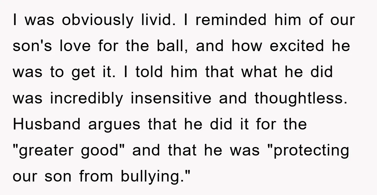 I was obviously livid. I reminded him of our son's love for the ball, and how excited he was to get it. I told him that what he did was...