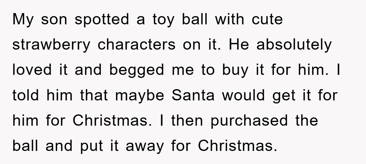 My son spotted a toy ball with cute strawberry characters on it. He absolutely loved it and begged me to buy it for him. I told him that maybe Santa...