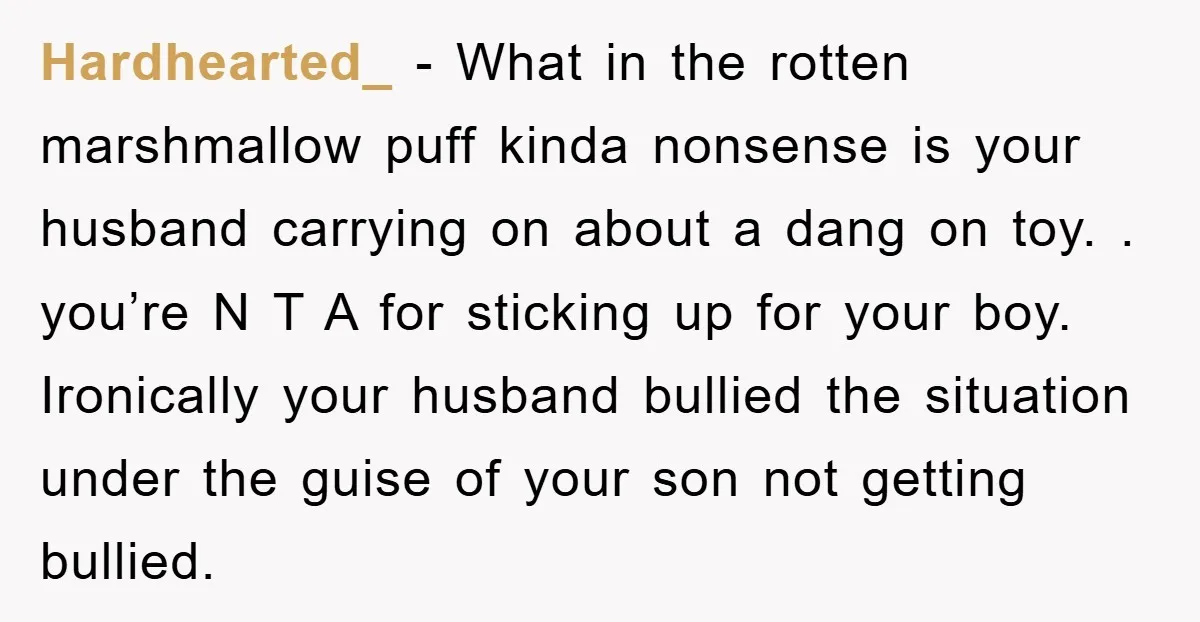 Hardhearted_ − What in the rotten marshmallow puff kinda nonsense is your husband carrying on about a dang on toy. . you’re N T A for sticking up for your...
