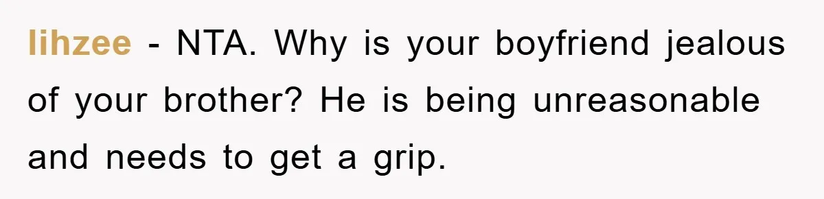lihzee − NTA. Why is your boyfriend jealous of your brother? He is being unreasonable and needs to get a grip.