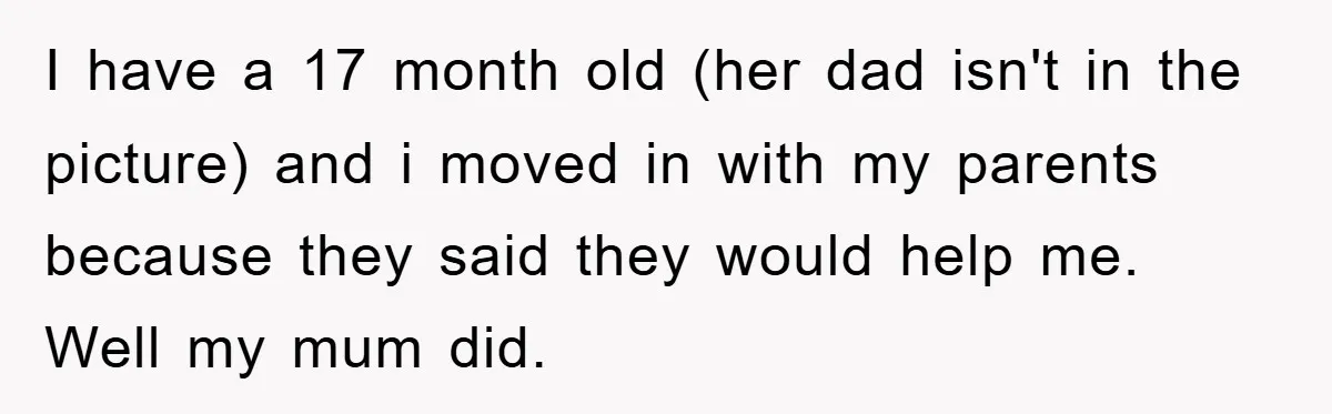 I have a 17 month old (her dad isn't in the picture) and i moved in with my parents because they said they would help me. Well my mum did.