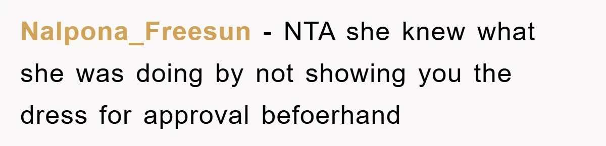 Nalpona_Freesun − NTA she knew what she was doing by not showing you the dress for approval befoerhand