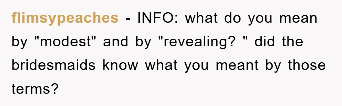 flimsypeaches − INFO: what do you mean by "modest" and by "revealing? " did the bridesmaids know what you meant by those terms?