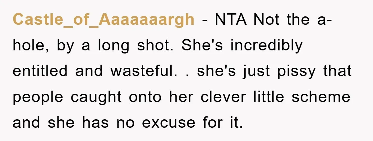 Castle_of_Aaaaaaargh − NTA Not the a-hole, by a long shot. She's incredibly entitled and wasteful. . she's just pissy that people caught onto her clever little scheme and she has...