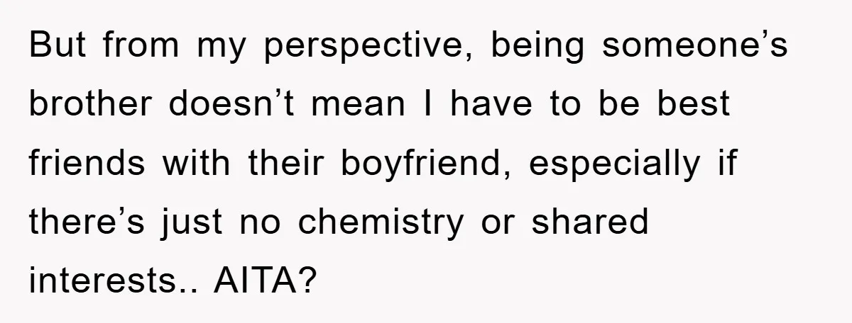 But from my perspective, being someone’s brother doesn’t mean I have to be best friends with their boyfriend, especially if there’s just no chemistry or shared interests.. AITA?
