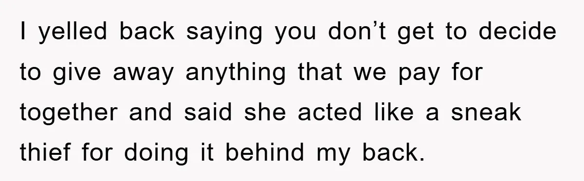 I yelled back saying you don’t get to decide to give away anything that we pay for together and said she acted like a sneak thief for doing it behind...