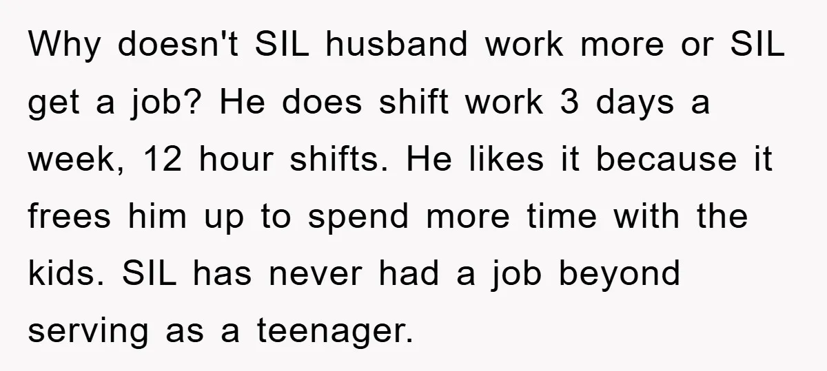 Why doesn't SIL husband work more or SIL get a job? He does shift work 3 days a week, 12 hour shifts. He likes it because it frees him up...