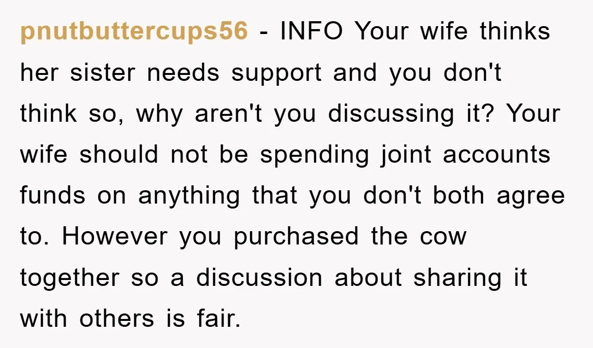 pnutbuttercups56 − INFO Your wife thinks her sister needs support and you don't think so, why aren't you discussing it? Your wife should not be spending joint accounts funds on...
