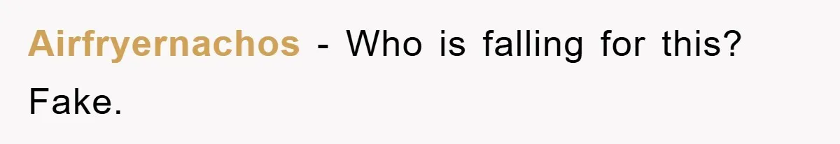 Airfryernachos − Who is falling for this? Fake.