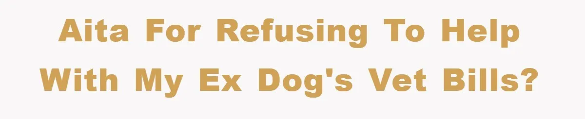 AITA for refusing to help with my ex dog's vet bills?